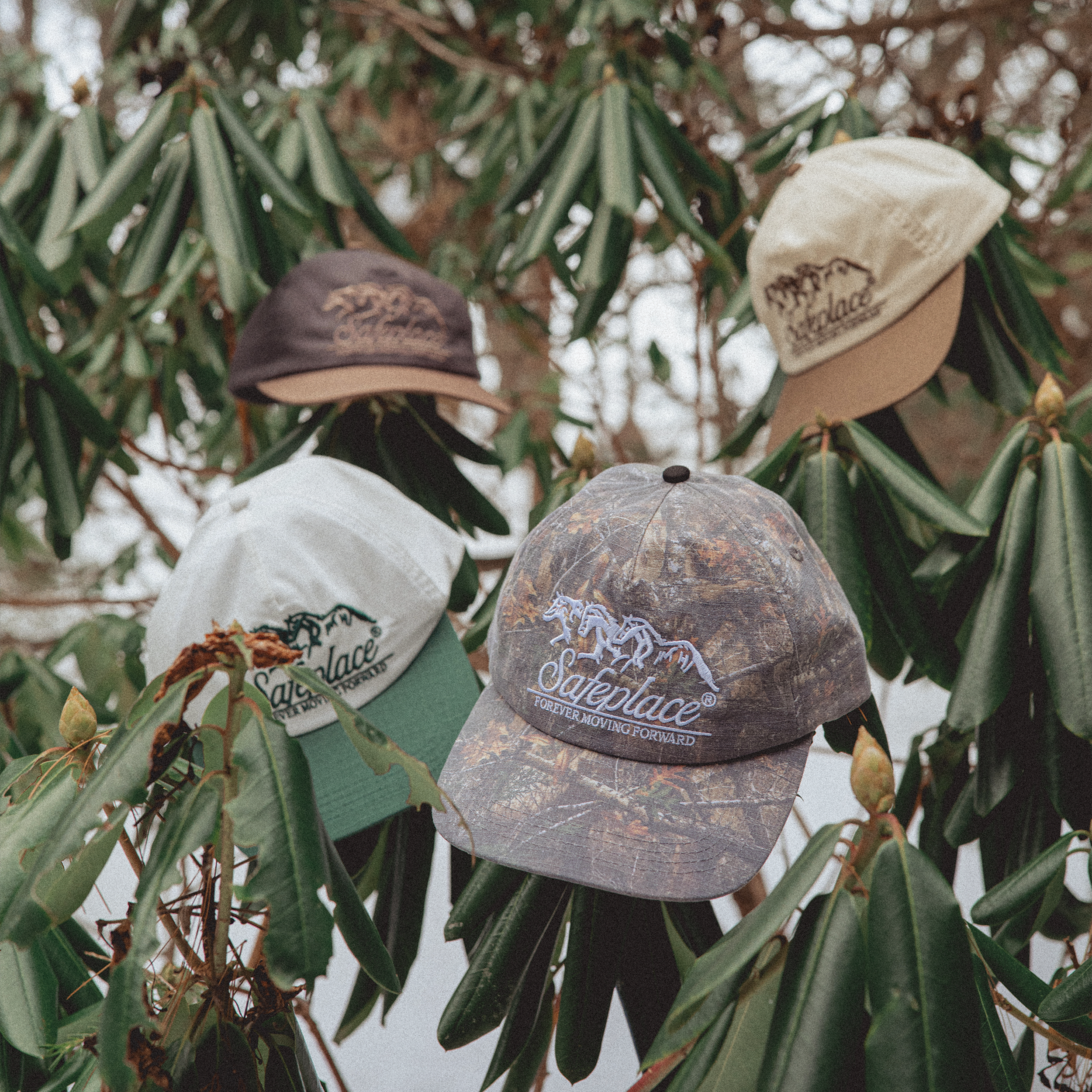 forward motion capsule