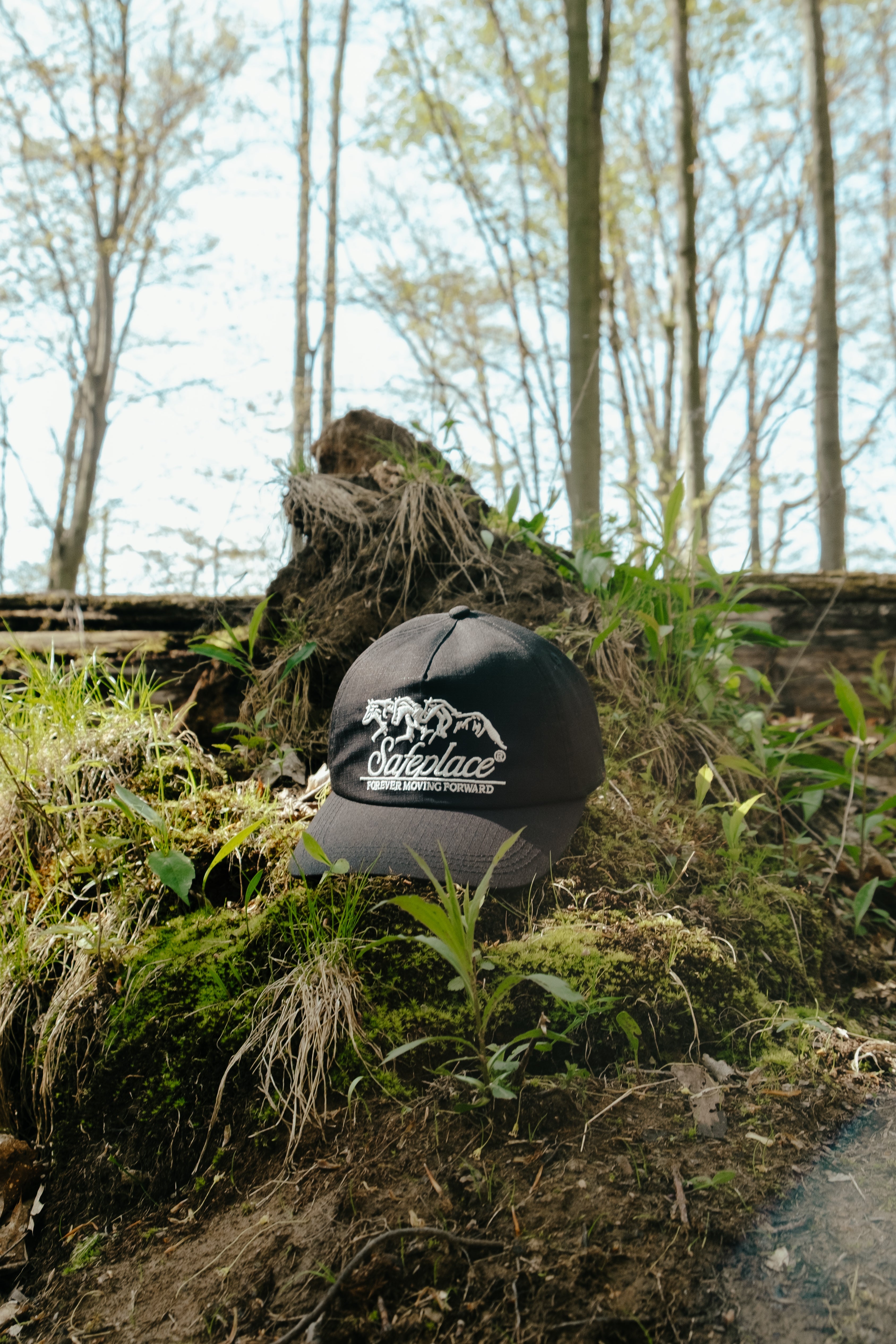 the treehugger capsule