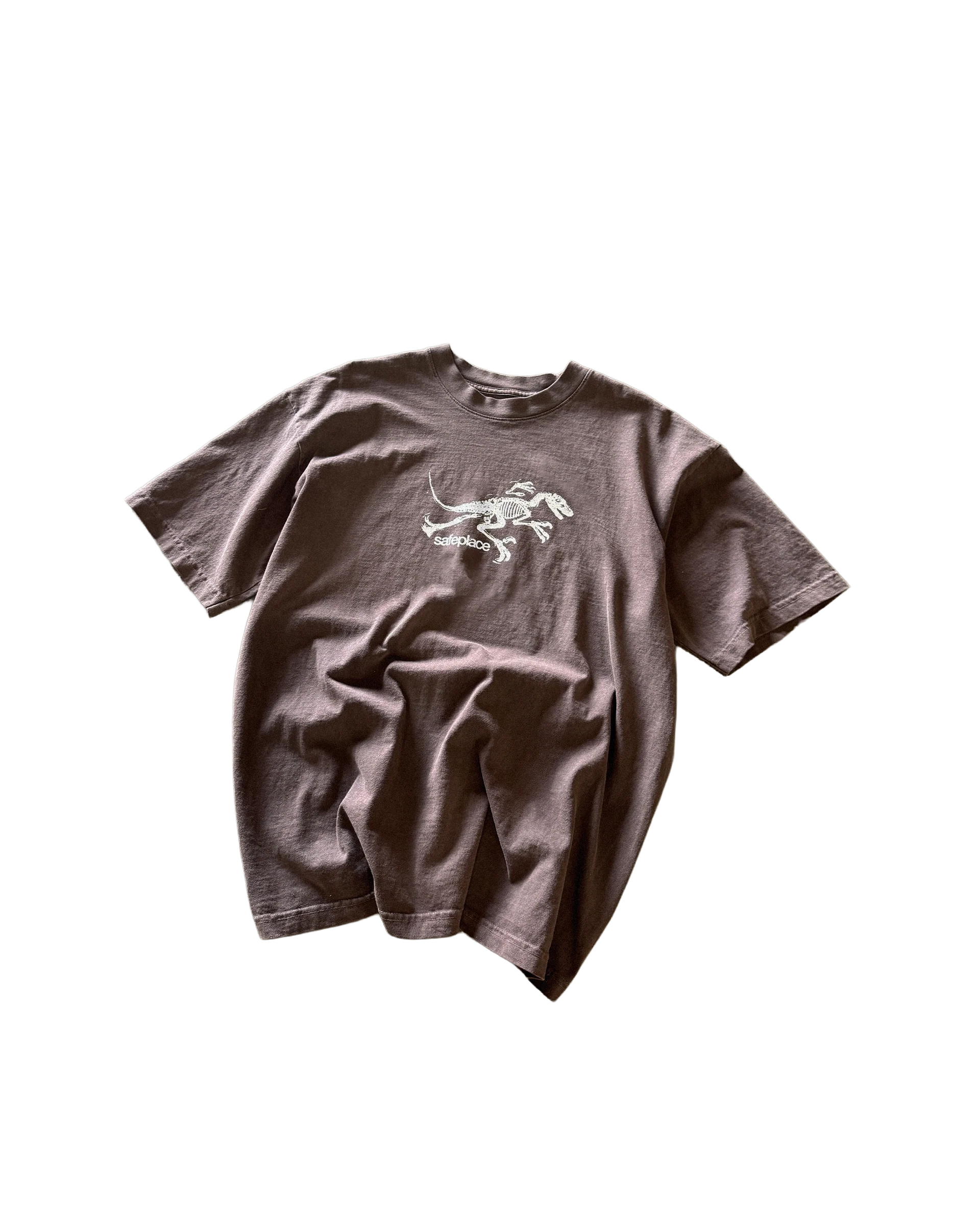 jurassic heavyweight tee [brown]