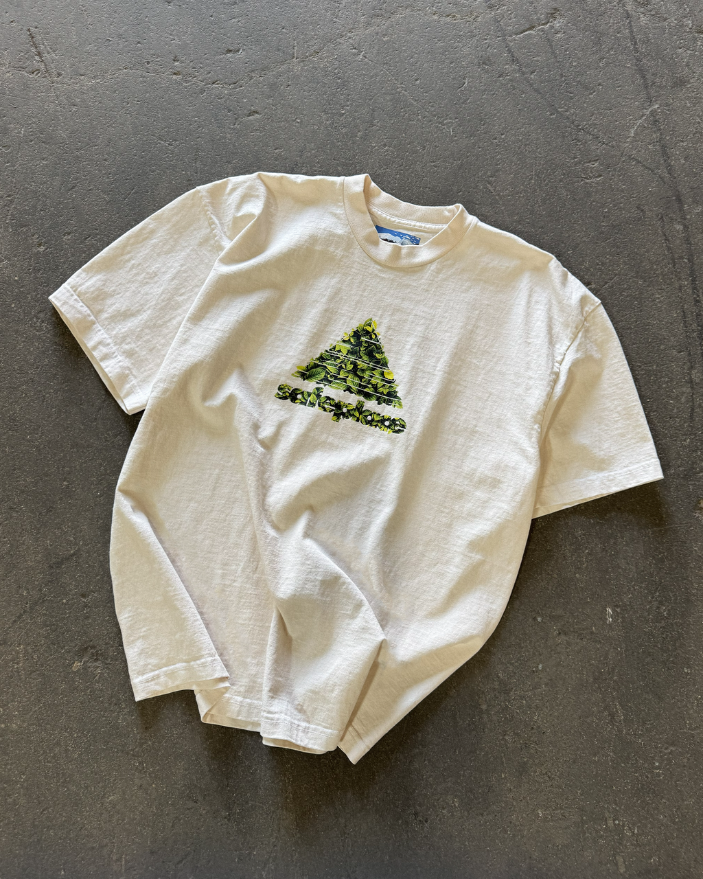 overgrown heavyweight tee