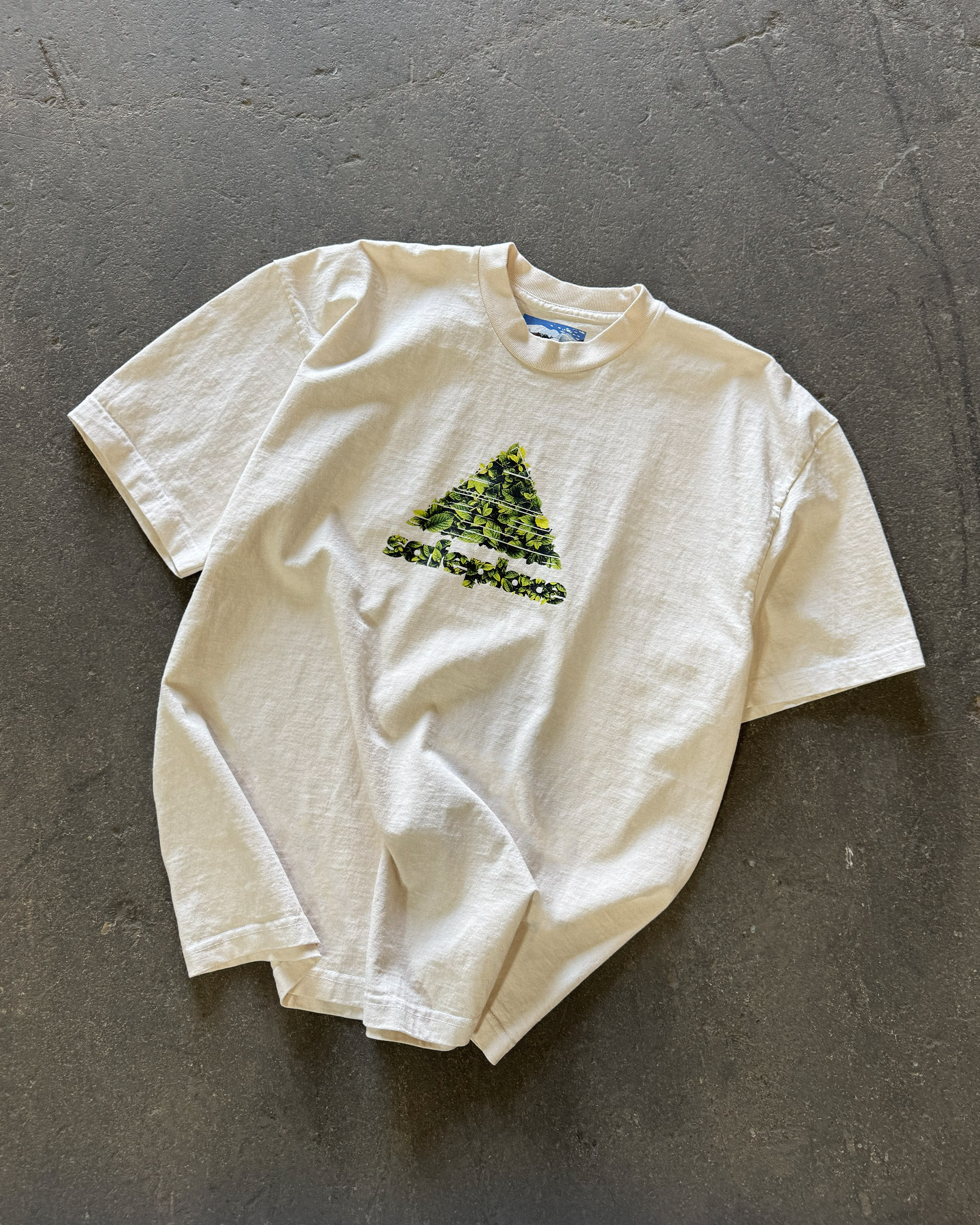 overgrown heavyweight tee