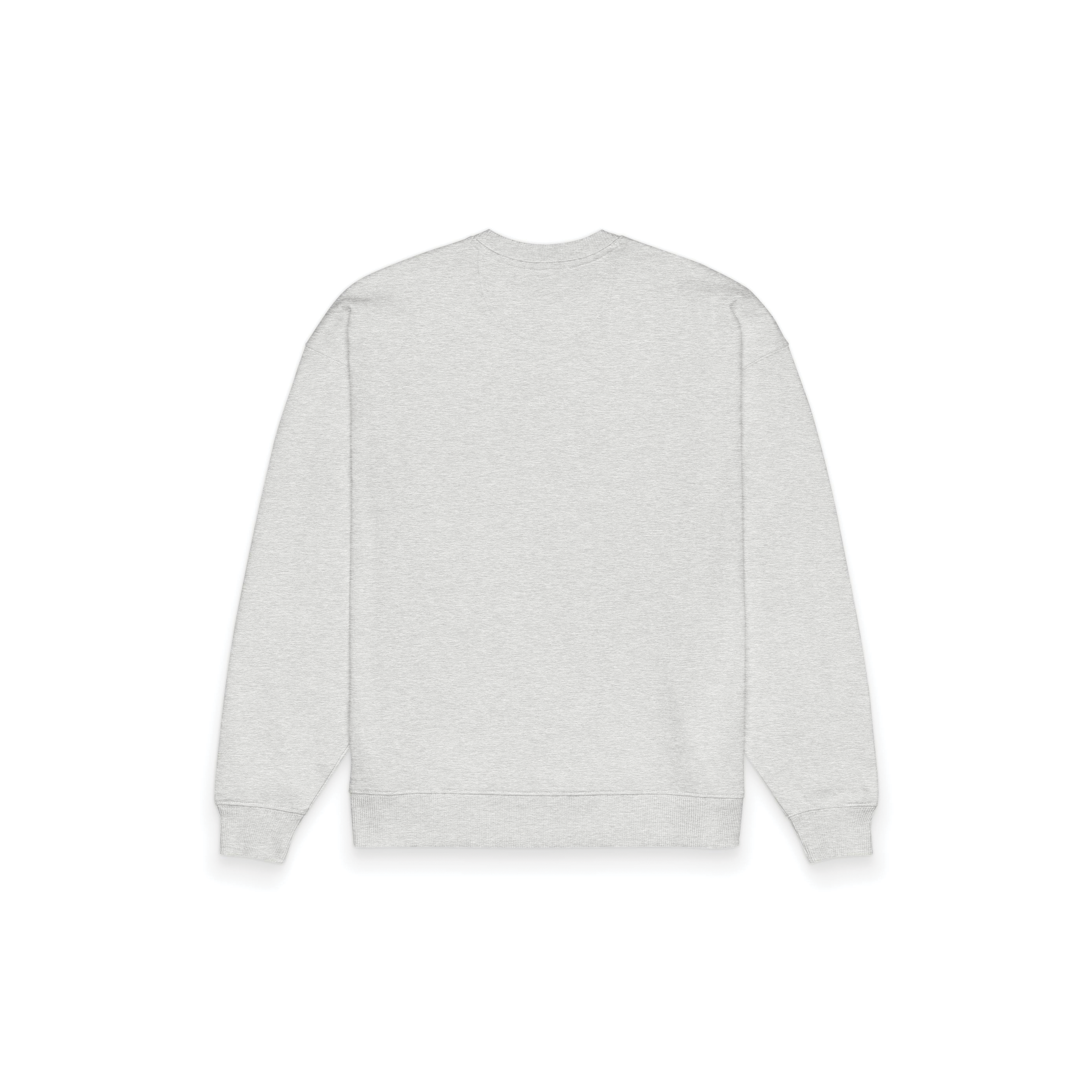 yosemite oversized crewneck [organic]