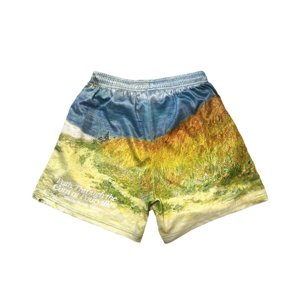 Beach Day Mesh Shorts