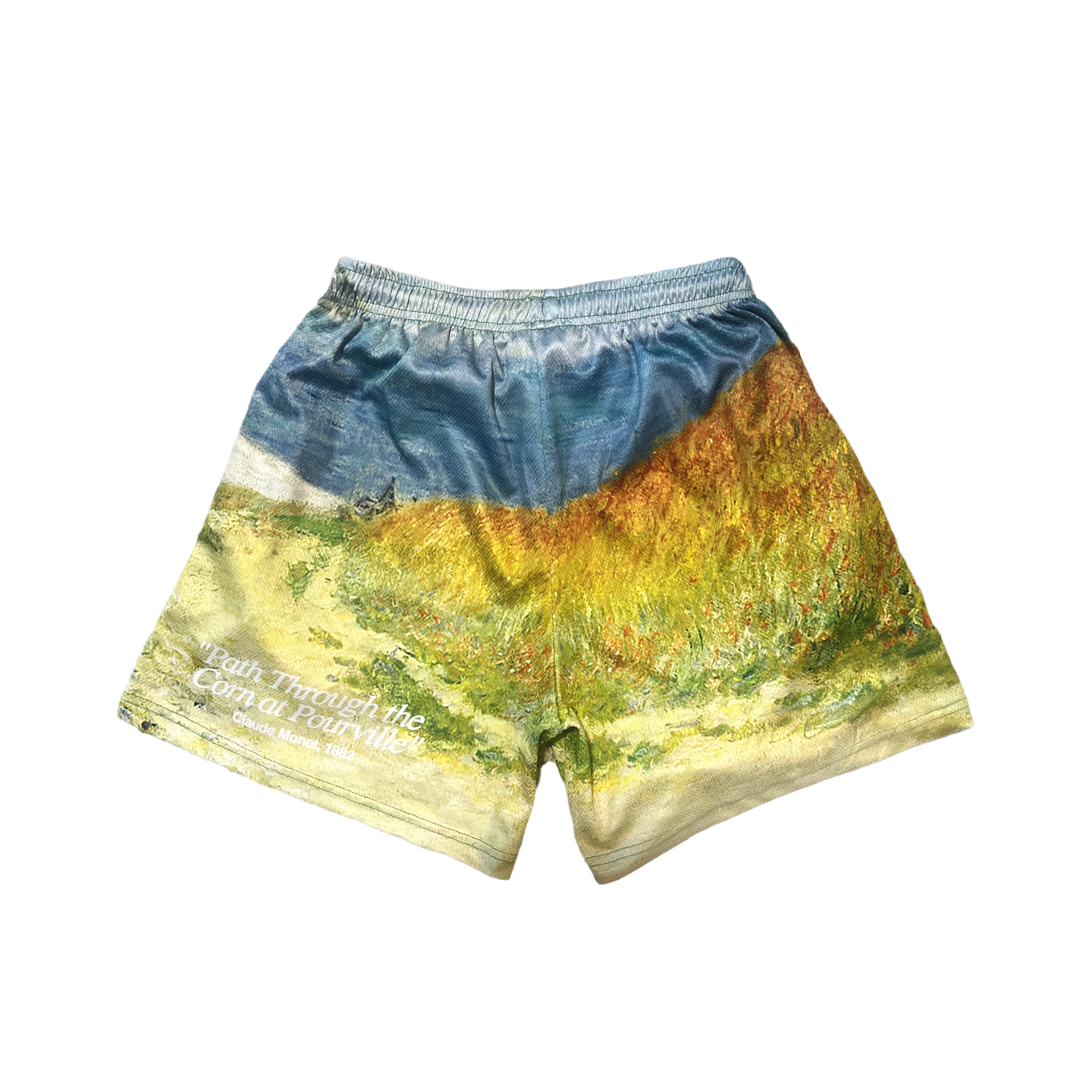 Beach Day Mesh Shorts