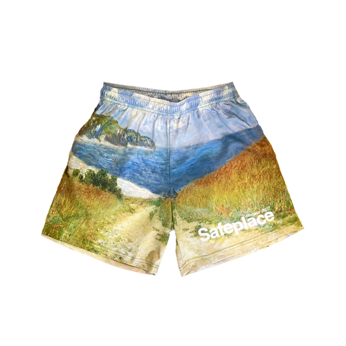 Beach Day Mesh Shorts